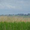 Tour 14: Darß - 3